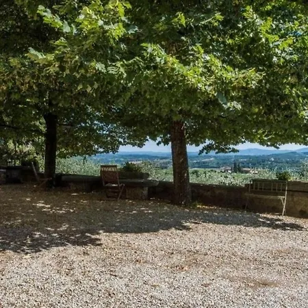 Delle Vigne فيلة *