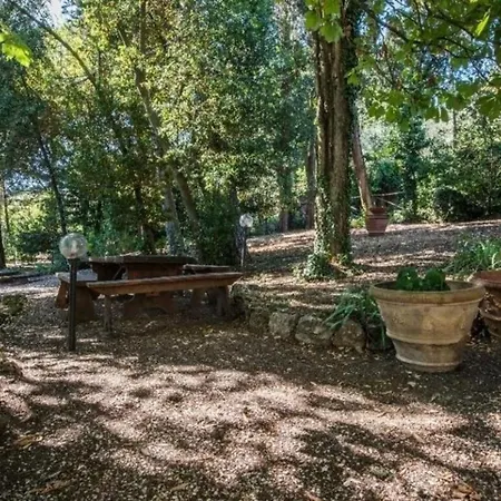 Delle Vigne San Cristoforo a Perticaia