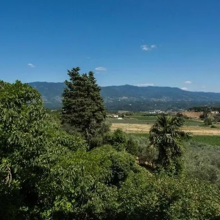 Delle Vigne Villa *