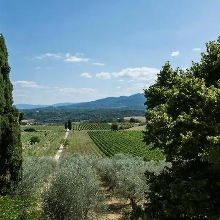 Delle Vigne * San Cristoforo a Perticaia
