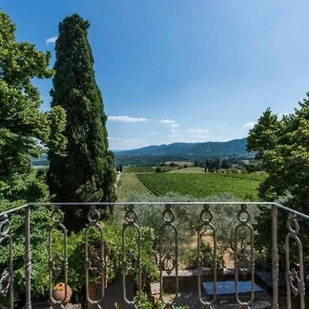 Delle Vigne